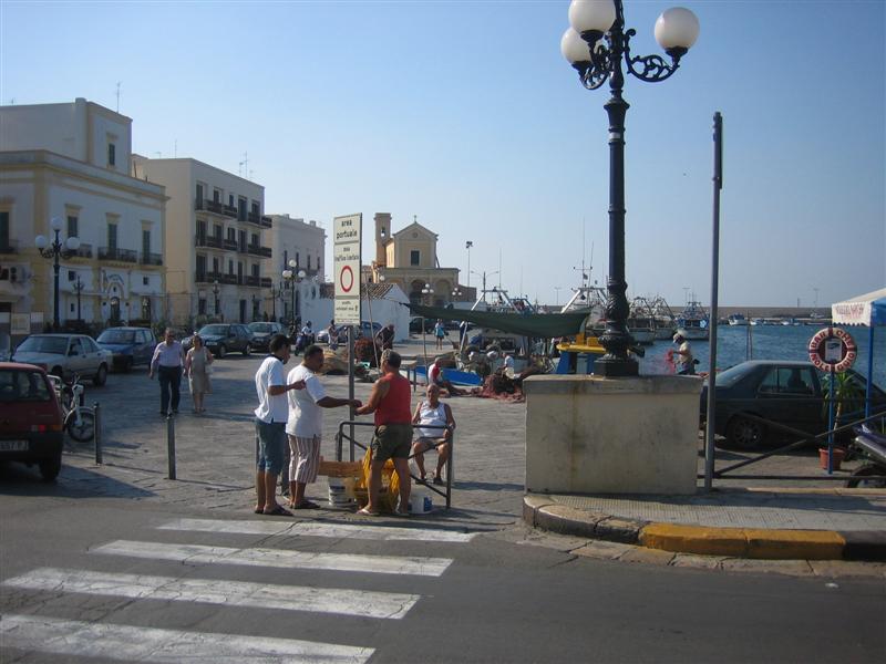 Gallipoli 8304